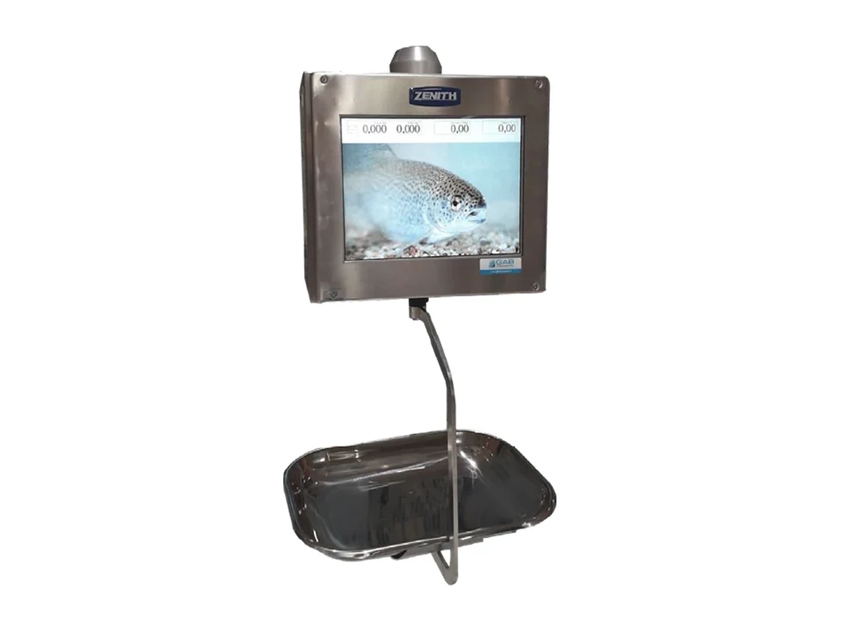 Custom Equa 7000 P Flyer